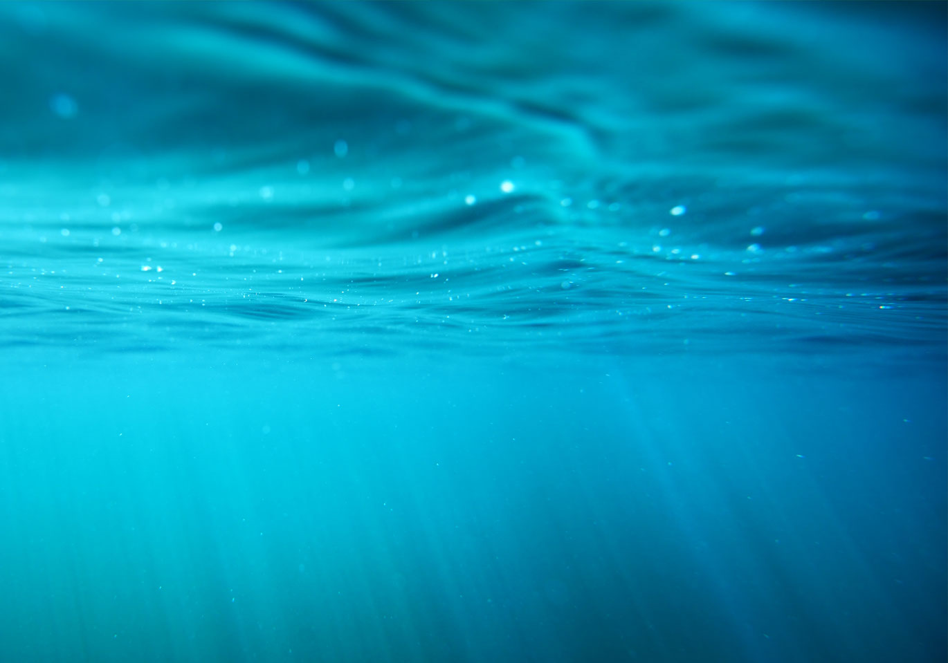 Lucid - communications made clear