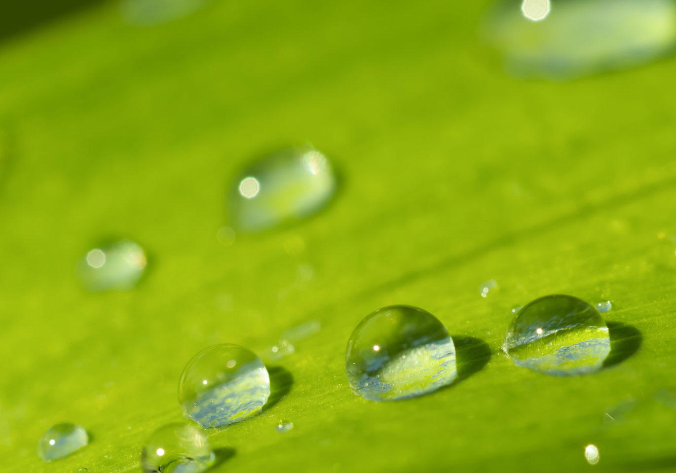 Lucid - communications made clear